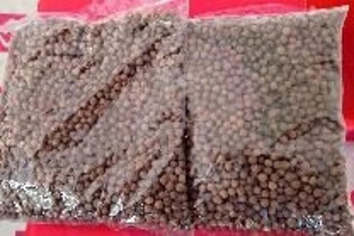 White Sandalwood Seeds White Chandan Seeds Indian sandalwood,Fragrant sandalwood - Picture 3 of 6