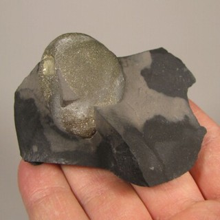 2.9" MARCASITE Ball Crystal in Shale Midelt Morocco