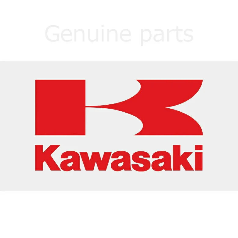 GENUINE KAWASAKI NINJA ZX-10R ABS KRT EDITION 2021 SWITCH,BRAKE