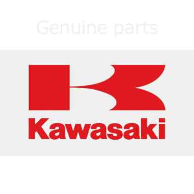GENUINE KAWASAKI NINJA ZX-10R ABS KRT EDITION 2021 SWITCH,BRAKE