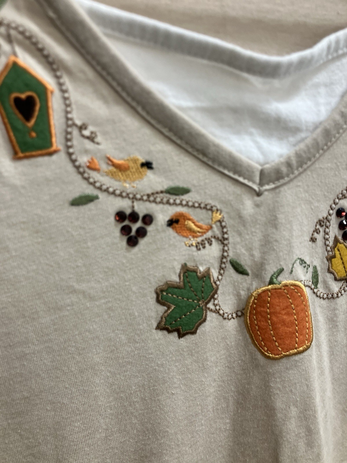 Women’s Basic Editions Embroidered Fall Pumpkins … - image 2