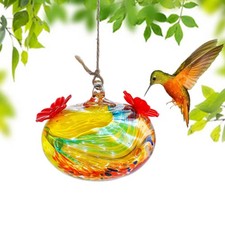 Hand Blown Glass Hummingbird Feeders for Outdoors Glass with 2 Feeding Ports Lea