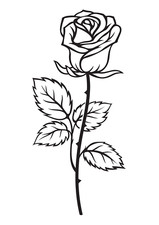 2X Autoaufkleber Sticker Rosen Blumen Liebe Aufkleber