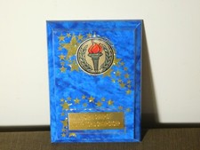 VINTAGE HORSE PLAQUE 7" X 5" RESERVE CHAMPION WCMHR WORLD CHAMPIONSHIP