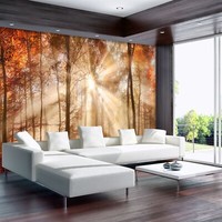 Herbstwald Tapete 312X219Cm Wandmural Schlafzimmer Wohnzimmer