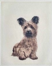 "Skye Terrier" Farbradierung von Kurt Meyer-Eberhardt (Hanfstaengl Nachlass)