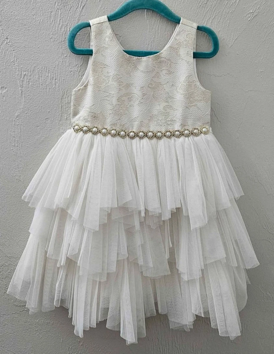 strapless open back dress Fox Dress with Long Sleeves Pettiskirt Lace Princess Dress – Foxbackdrop main image 0