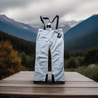 Skihose Damen, Dare2B, Diminish, Gr. 46, 30.000 Membran