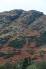 Photo 6x4 Yewdale Crag Far End/SD3098 At 321 metres above sea level, Yew c2015