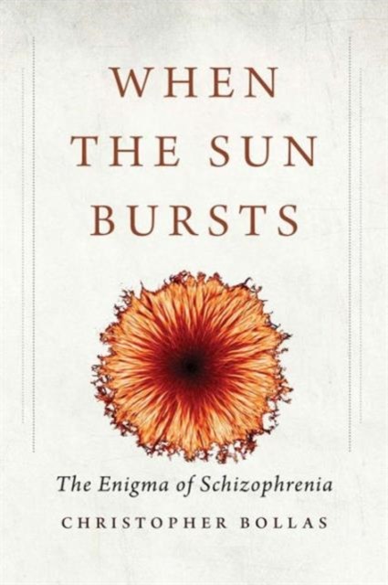 When the Sun Bursts – The Enigma of Schizophrenia by Christopher Bollas - Image 7