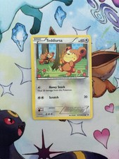 Pokémon TCG Teddiursa RC15/RC25 Holo Radiant Collection LP