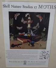 Original 1950's Vintage mounted motor car advert Shell Oil Petrol British Moths