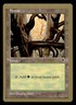 Forest (Ledge) - 1998 Brian Selden (TMP) World Championship Decks MTG LP