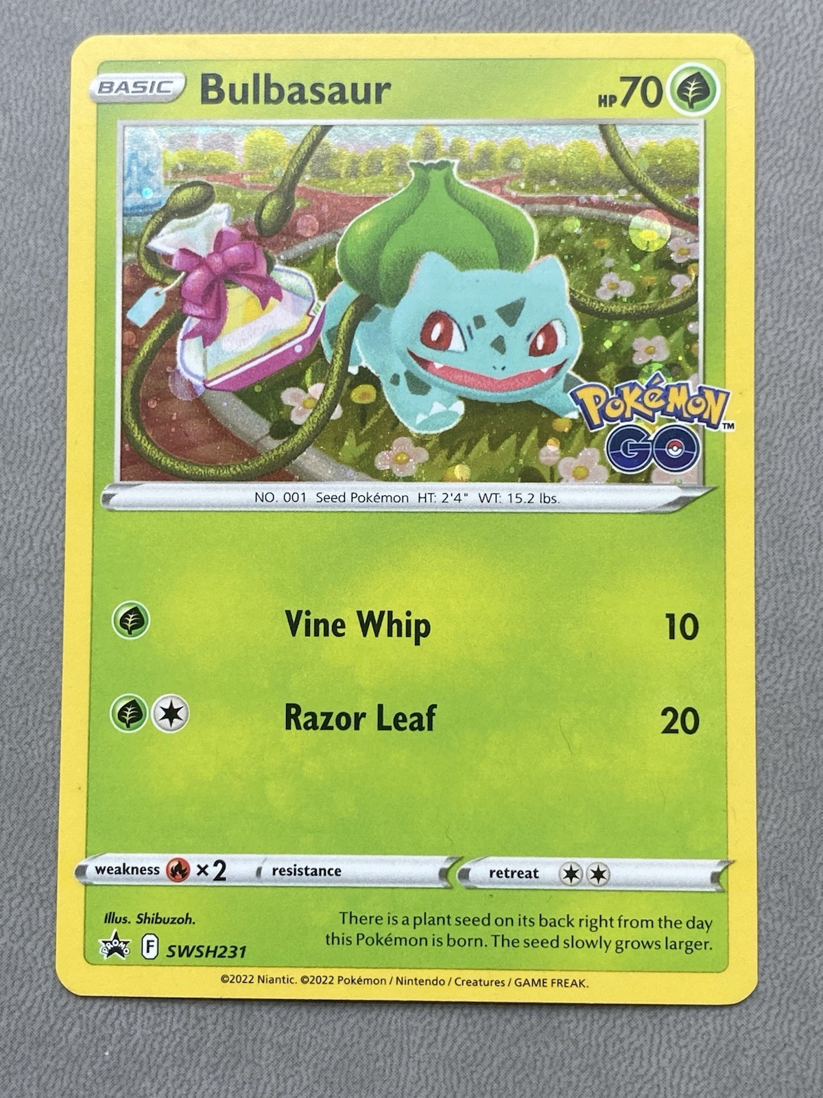Bulbasaur SWSH231 Holo Promo Sword & Shield Promo Pokemon NM