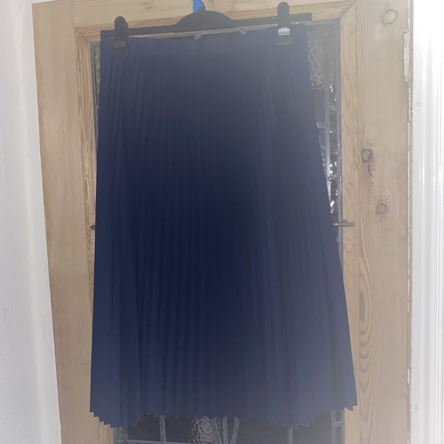Size 14 Navy Pleated Lined M&S Collection Skirt