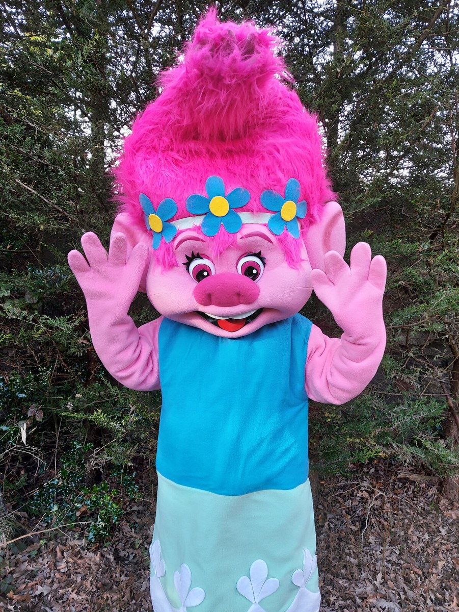Poppy and Branch Trolls mascot fancy dress costume hire delivery in UK |  eBay UK