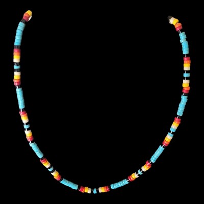 Native American Turquoise Heishi Necklace