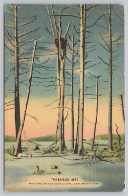 Postcard The Eagles Nest, Barren Landscape