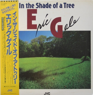 Eric Gale - In The Shade Of A Tree  / VG+ / LP, Album