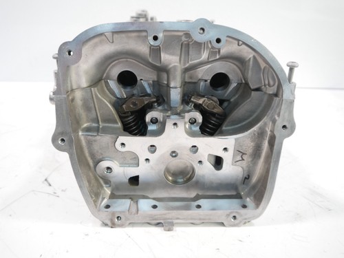 Zylinderkopf Defekt Für VW Skoda 2,0 TSI TFSI DTEA DTE DKZ CZP 06L403AK