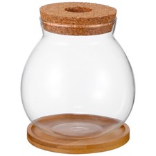 Fish Bowl Glass Terrarium Betta Fish Coffee Table Fish