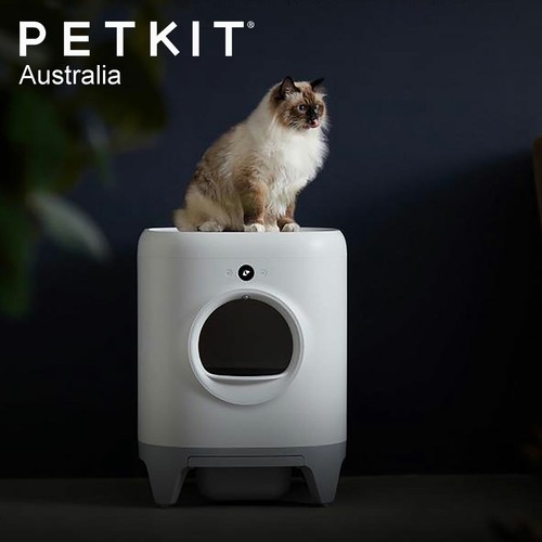 automatic cat litter box australia