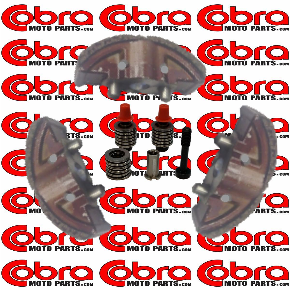 Clutch Shoes & Washers | 2015 Cobra 50cc King Jr | Camu0009