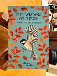 The Wisdom of Birds Oracle Deck & Guidebook Boxed Set (Rizzoli Universe)