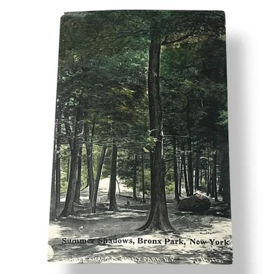 Postcard Summer Shadows Bronx Park New York City New York c1908 B572