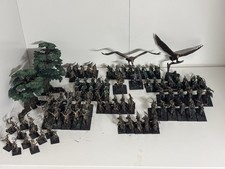 Fully Painted Warhammer Fantasy/ The Old World Wood Elves Army.