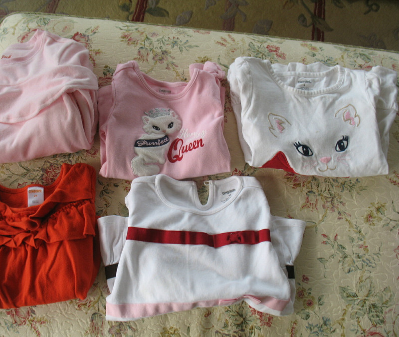 Lot of 5 GYMBOREE CAT and JACK shirts size 4T - long sleeved cat orange pink