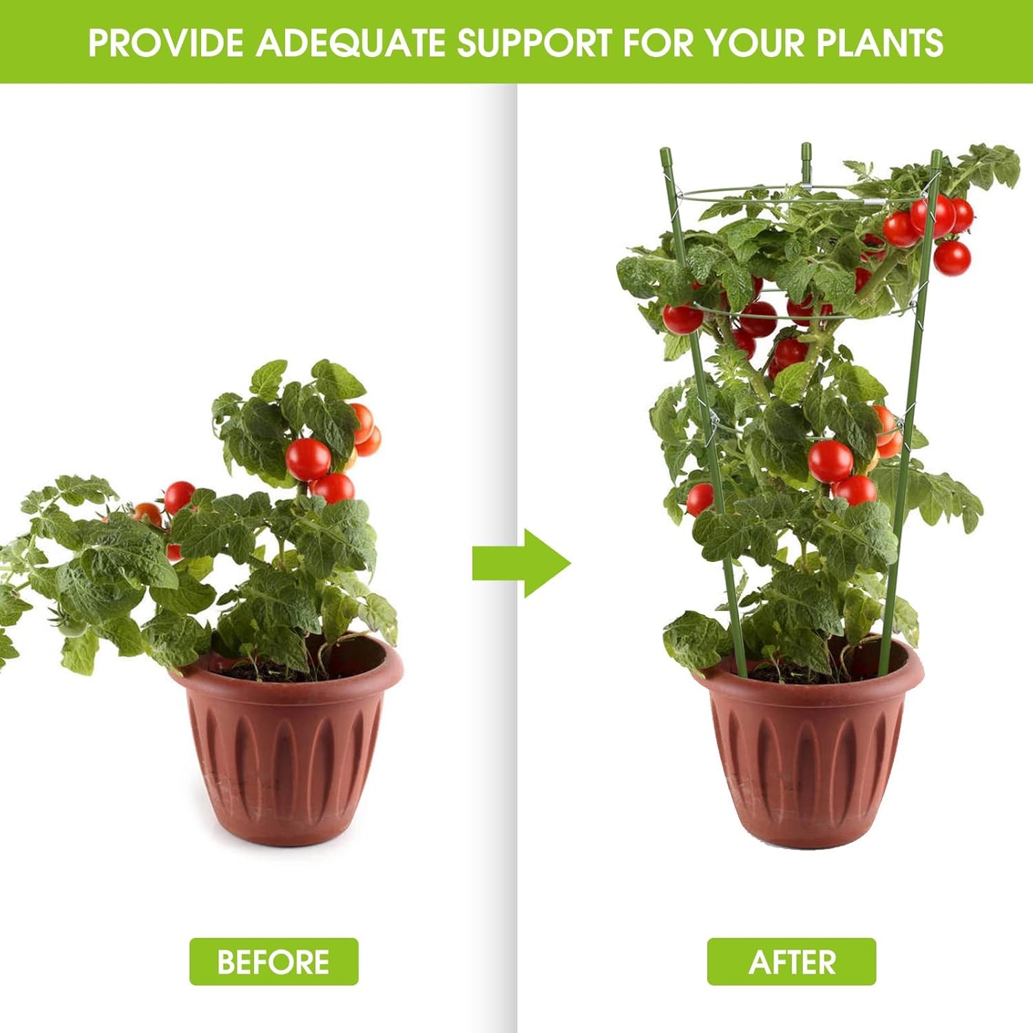 Tomato Cage Plant Support Cages for Garden Climbing Plants 18 inches  4 Pack 