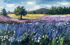 Lavender Field Oil Painting Original Art Impressionist Landscape Art 12x20"