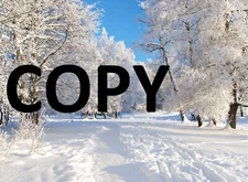 Digital Image photo picture JPEG file