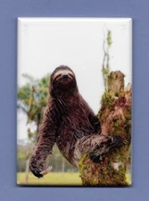 COSTA RICA *2X3 FRIDGE MAGNET* CENTRAL AMERICA PURA VIDA BEACH VOLCANO SLOTH 