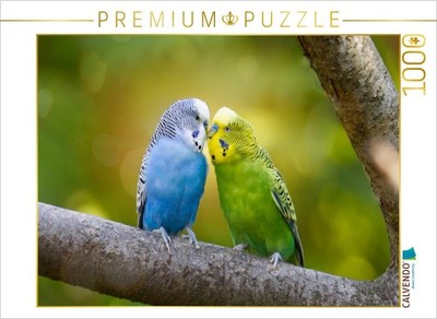 CALVENDO Puzzle Grün und blau | 1000 Teile Lege-Größe 64x48cm Foto-Puzzle für gl