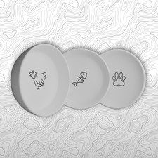 White Ceramic Cat Bowl for Food and Water Set of 3 
