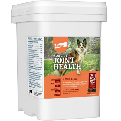 SynoviG4 SOft CHEWS for Dogs (240 count)