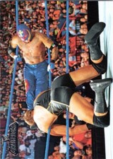 2011 Topps WWE Champions #55 Team Mysterio Wins Survivor Series