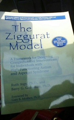 The Ziggurat Model: A Framework for Designing Comprehensive Interventions for...