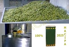 Olio extravergine di oliva 5 litri 2025-2026