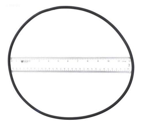 O-Ring, Filter Head