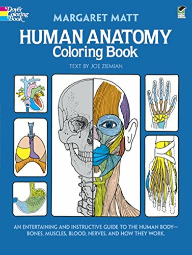 Human Anatomy Colouring Book By Margaret Matt, Joe Ziemian. 9780486241388