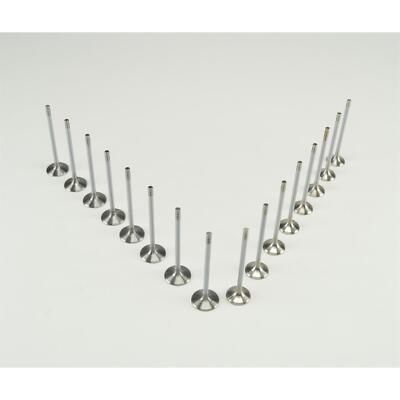 16 Ventile ( 8x Einlaßventil + 8x Auslaßventil ) für Renault 1,2 16V