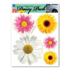 Daisy Flower Pack Magnet