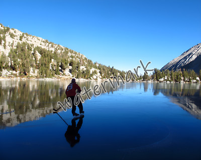 Ultimate Pond Hockey Natural Outdoor Rink Color 8 X 10 Photo Picture