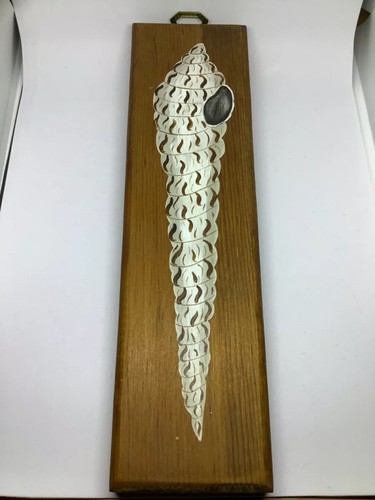 Vintage Sea Shell Auger Art Hand Painted Hanging Wood 9 in Nautical Beach House