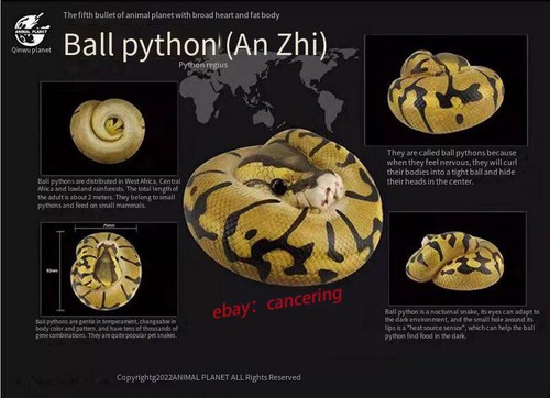 ANIMAL HEAVENLY BODY A SERIES OF SMILE AND GROW FAT 5 Ver. Snake Resin Modell NEU - Bild 12 von 24