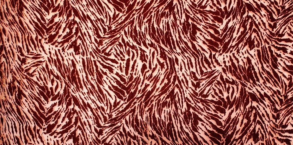 Lux Burnout Terciopelo Rojo y Dorado Animal Print 2 piezas (cada una 2,5 yardas x 44 pulgadas) Foto 3 de 4