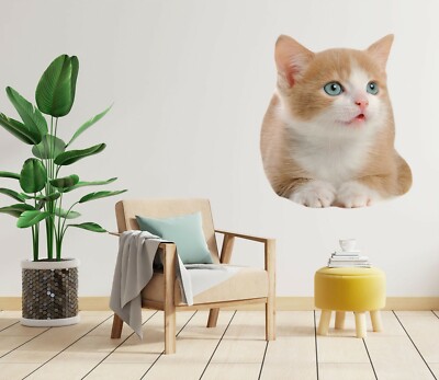 3D Süße Katze H970 Tier Wallpaper Wandbild Poster Wandaufkleber Abziehbild Hone